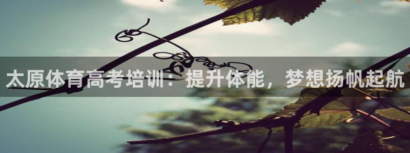 极悦平台平台注册方法与步骤是什么：太原体育高考培训：