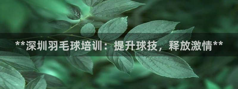 极悦平台官方网站首页：**深圳羽毛球培训：提升球技，