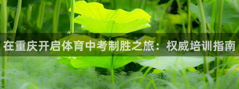 极悦平台注册用户名格式是什么：在重庆开启体育中考制胜