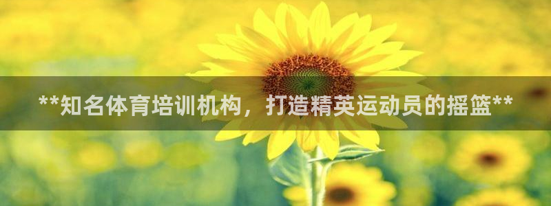 极悦官方网站app下载安装：**知名体育培训机构，打