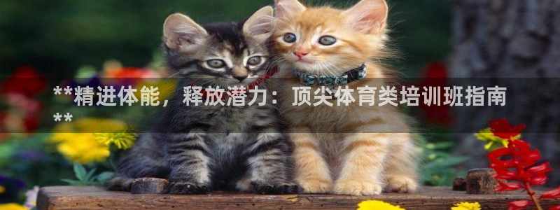 极悦娱乐创始人背景故事是什么：**精进体能，释放潜力