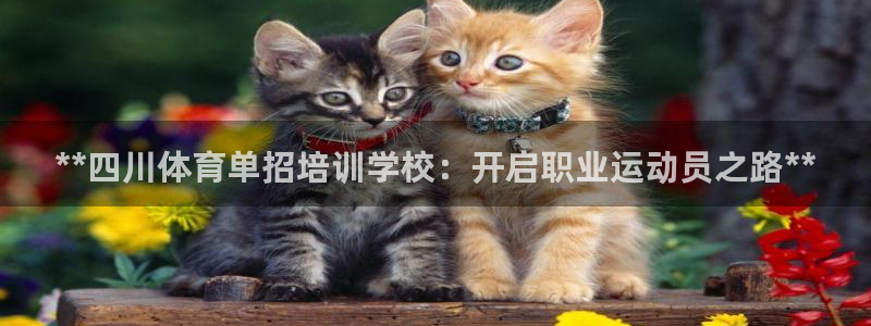极悦官网首页登录入口网址：**四川体育单招培训学校：