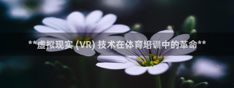 极悦娱乐代理多少钱一年：**虚拟现实 (VR) 技术