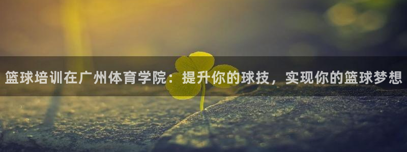 极悦平台注册流程详解：篮球培训在广州体育学院：提升你