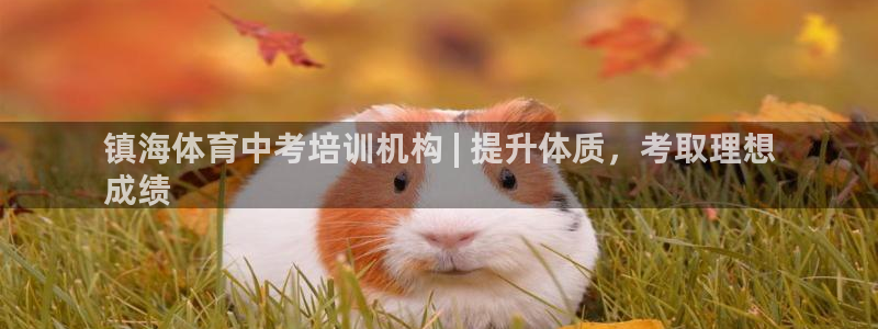 极悦平台官网登录入口网址查询：镇海体育中考培训机构 