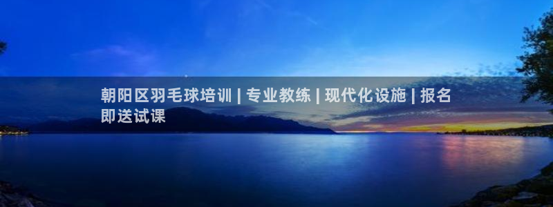 极悦平台官方网址：朝阳区羽毛球培训 | 专业教练 |