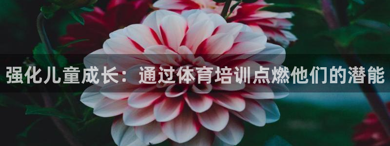 极悦娱乐会被骗吗是真的吗：强化儿童成长：通过体育培训