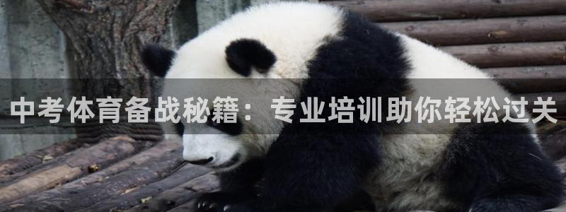 极悦牙膏怎么样知乎