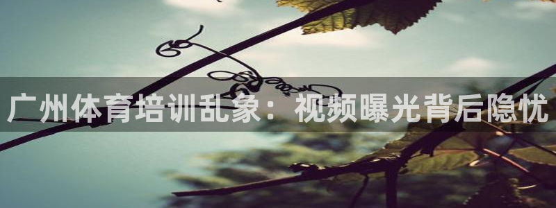 极悦平台官网登录入口网址：广州体育培训乱象：视频曝光