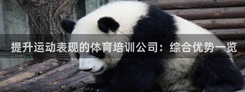 极悦平台官方网站登录： 提升运动表现的体育培训公司：