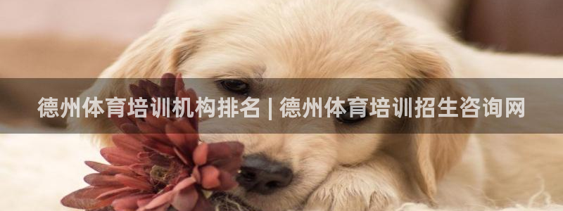 极悦平台注册和登录页面：德州体育培训机构排名 | 德