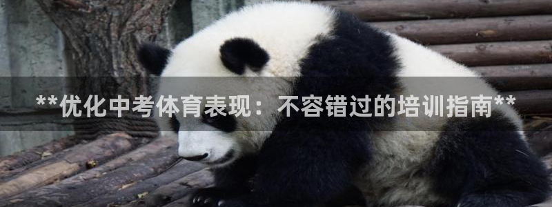 极悦平台注册和登录页面在哪：**优化中考体育表现：不