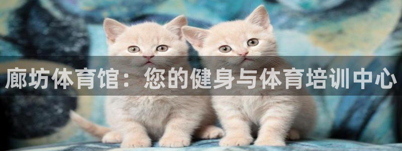 极悦娱乐最新版本更新内容分享：廊坊体育馆：您的健身与