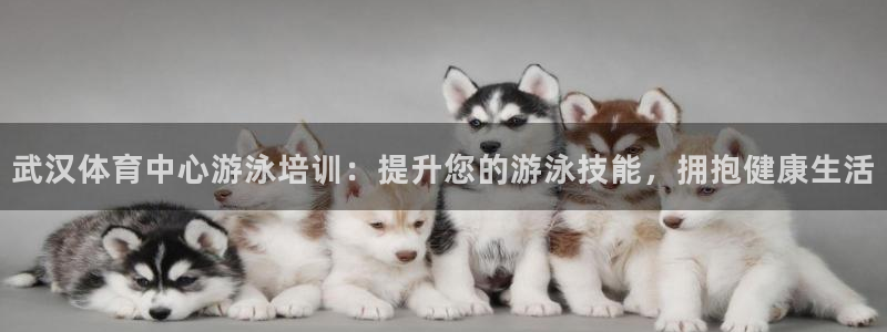 极悦平台注册用户名生成器是什么：武汉体育中心游泳培训