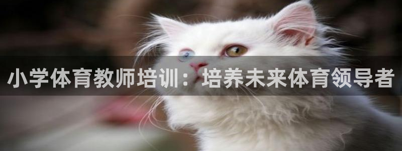 极悦平台注册登录入口网址：小学体育教师培训：培养未来