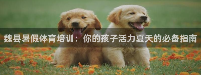 极悦平台安全吗是真的吗：魏县暑假体育培训：你的孩子活