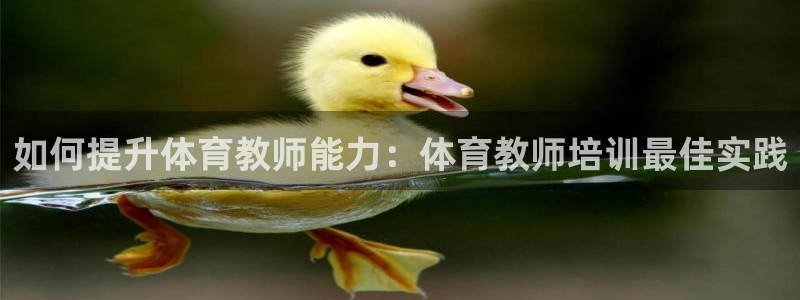 极悦平台创始人背景故事视频：如何提升体育教师能力：体