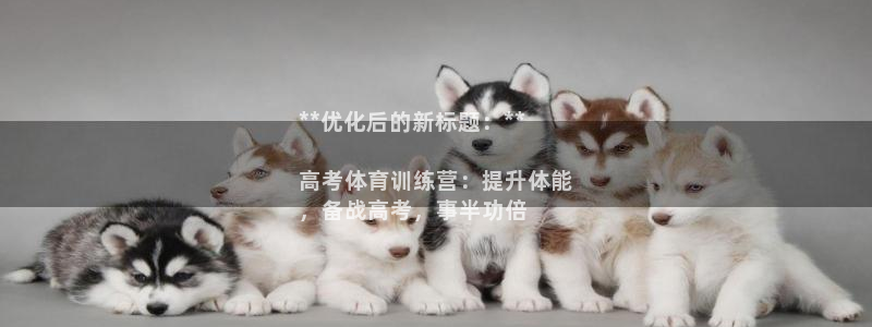 极悦平台注册用户名验证码是什么：**优化后的新标题：