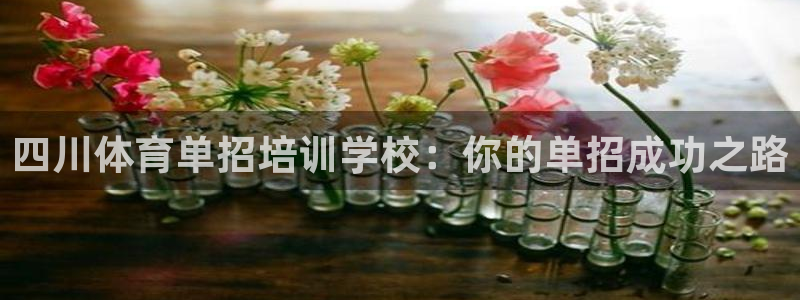 极悦娱乐官网下载安装：四川体育单招培训学校：你的单招成功之路