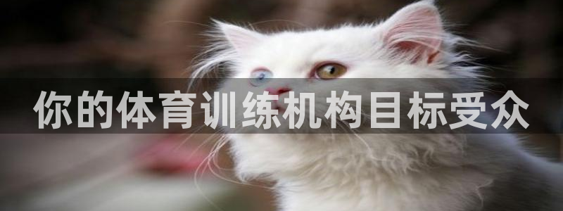 极悦平台登录7.0.2.4手机版下载安装：你的体育训练机构目