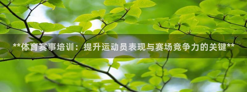 极悦平台注册和登录页面在哪：**体育赛事培训：提升运
