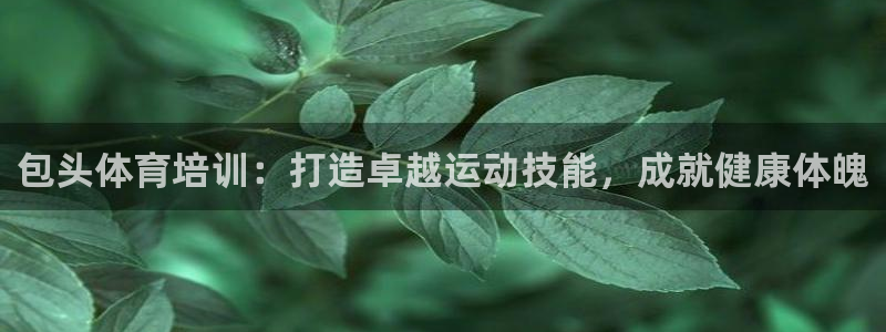 极悦平台使用注意事项有哪些：包头体育培训：打造卓越运动技能，