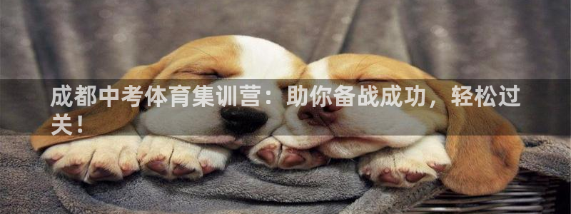 极悦娱乐官网客服联系方式：成都中考体育集训营：助你备战成功，