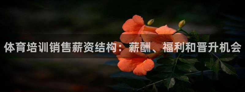极悦平台注册用户名格式不正确：体育培训销售薪资结构：薪酬、福