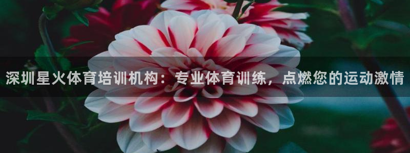 极悦平台官网登录最新版本更新内容介绍：深圳星火体育培