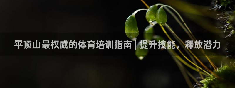 极悦平台是干嘛的公司：平顶山最权威的体育培训指南 |